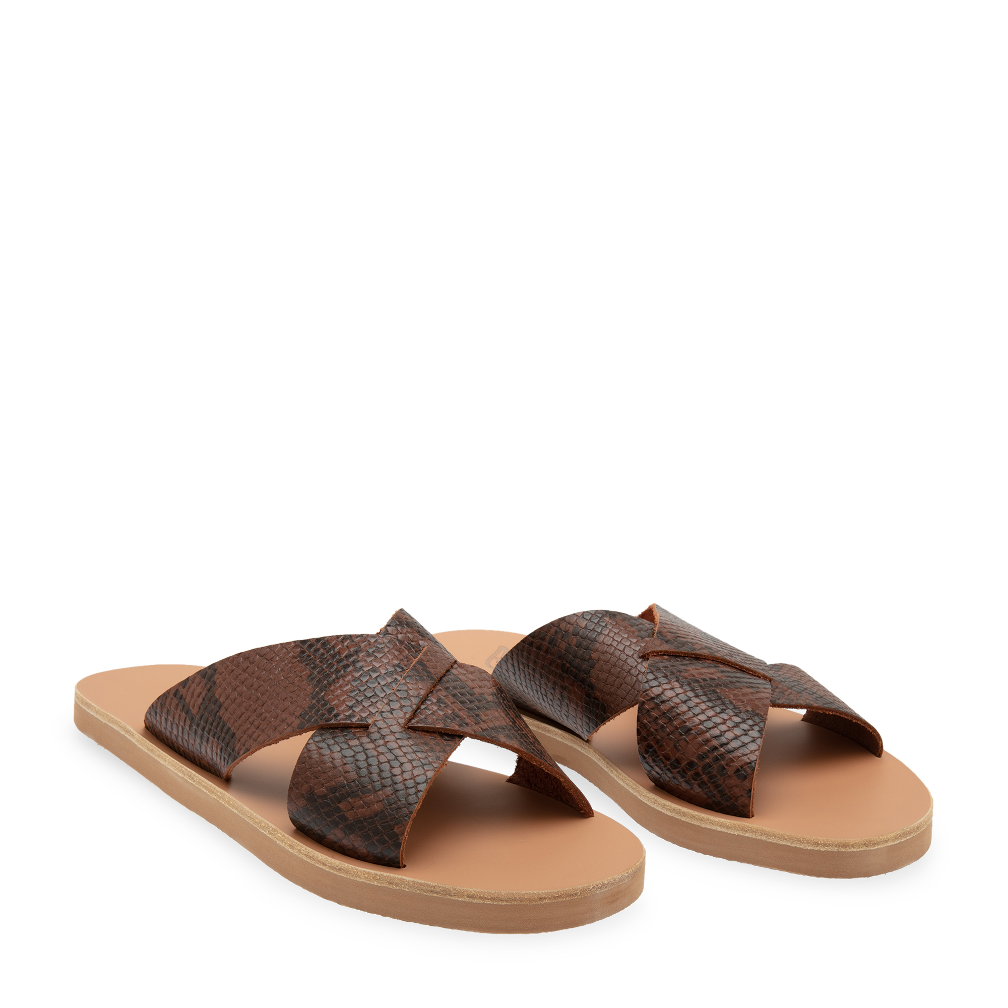 Bios slides, Brown