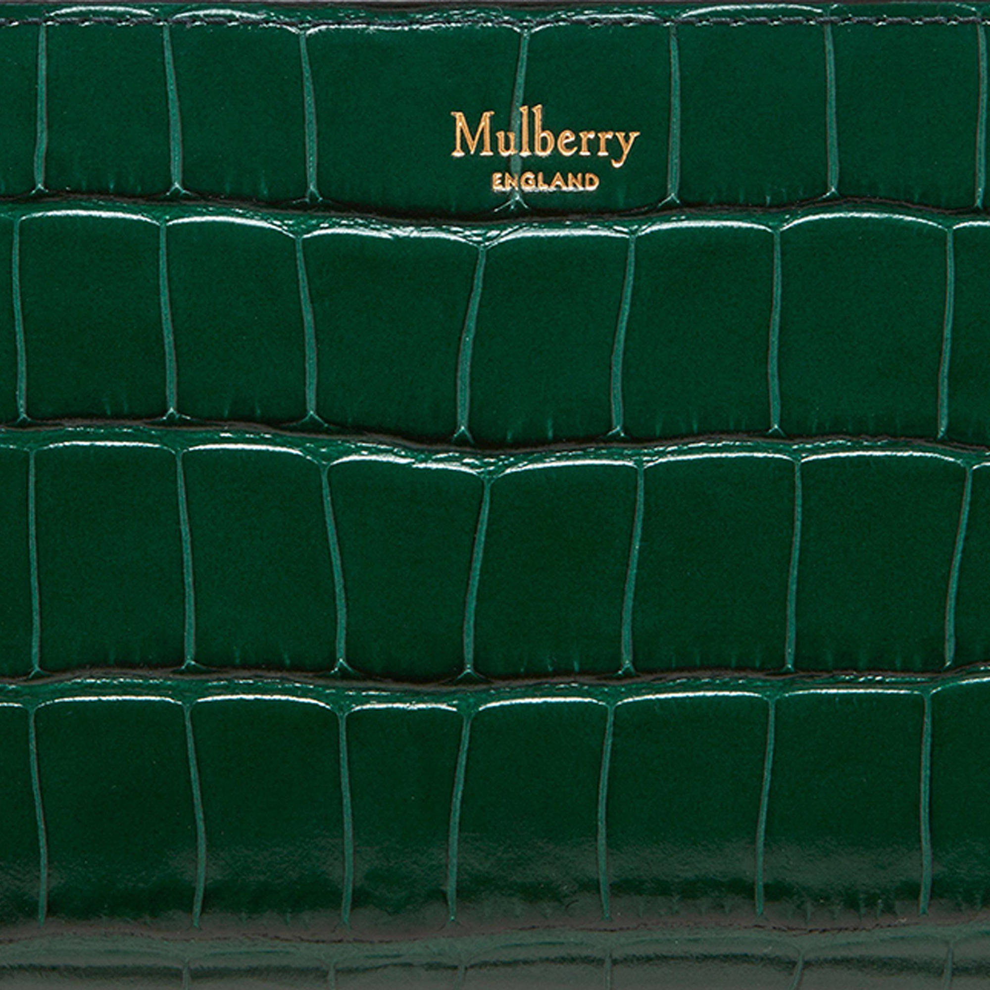Zip Around wallet, Green