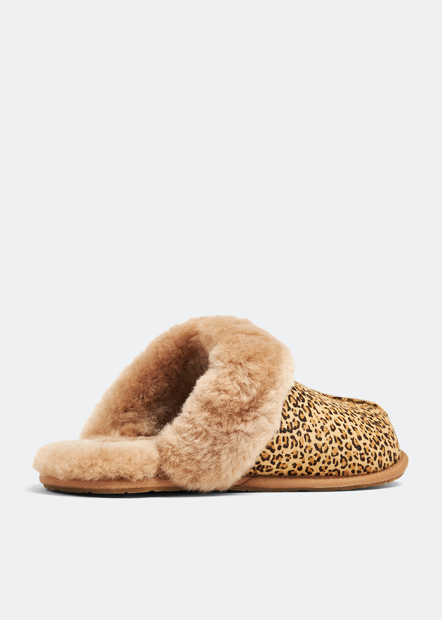 Ugg Scuffette II slippers for Women Brown in UAE Level Shoes