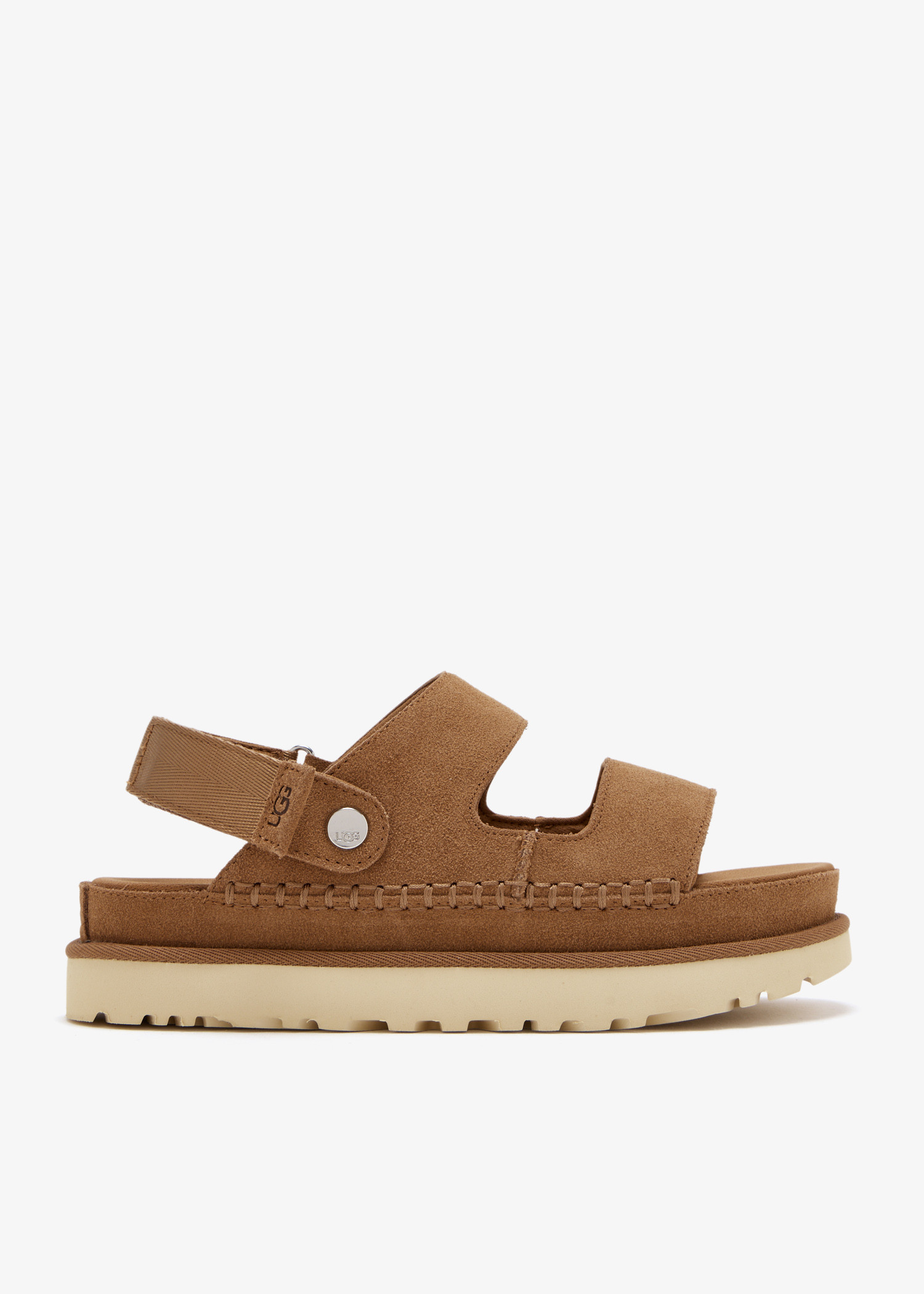 

Goldenstar glides, Brown