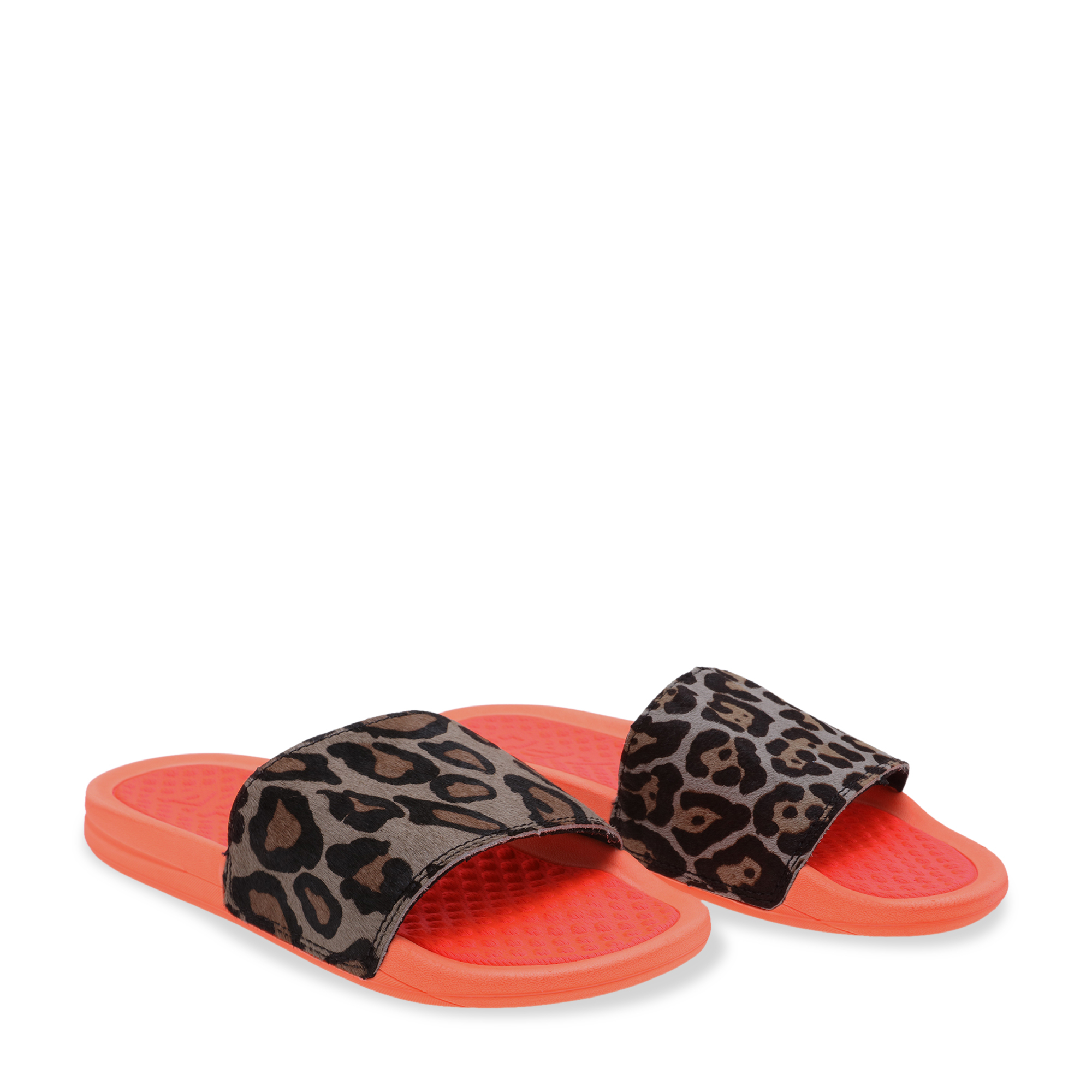 

Iconic slides, Animal print
