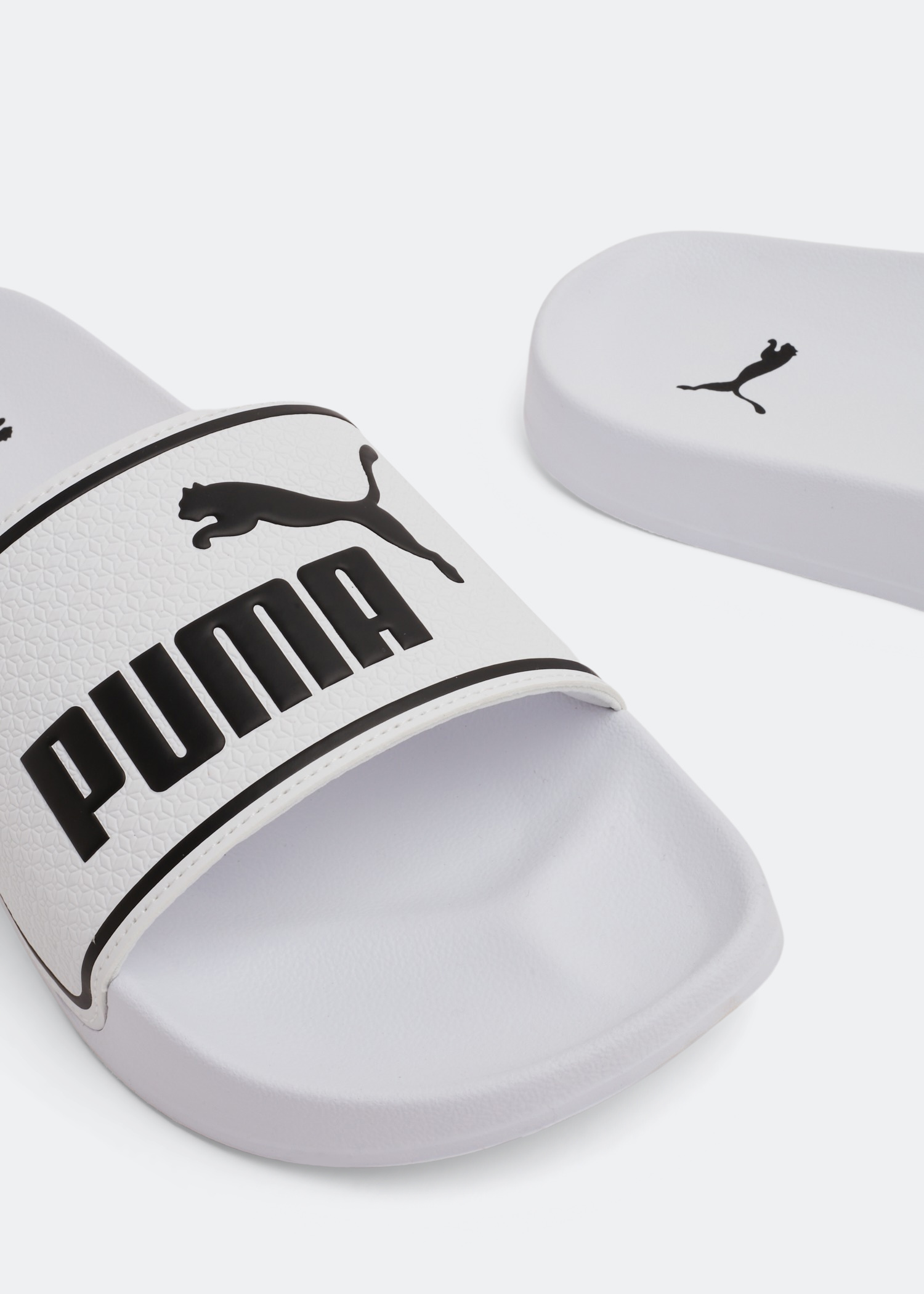 

Leadcat 2.0 slides, White