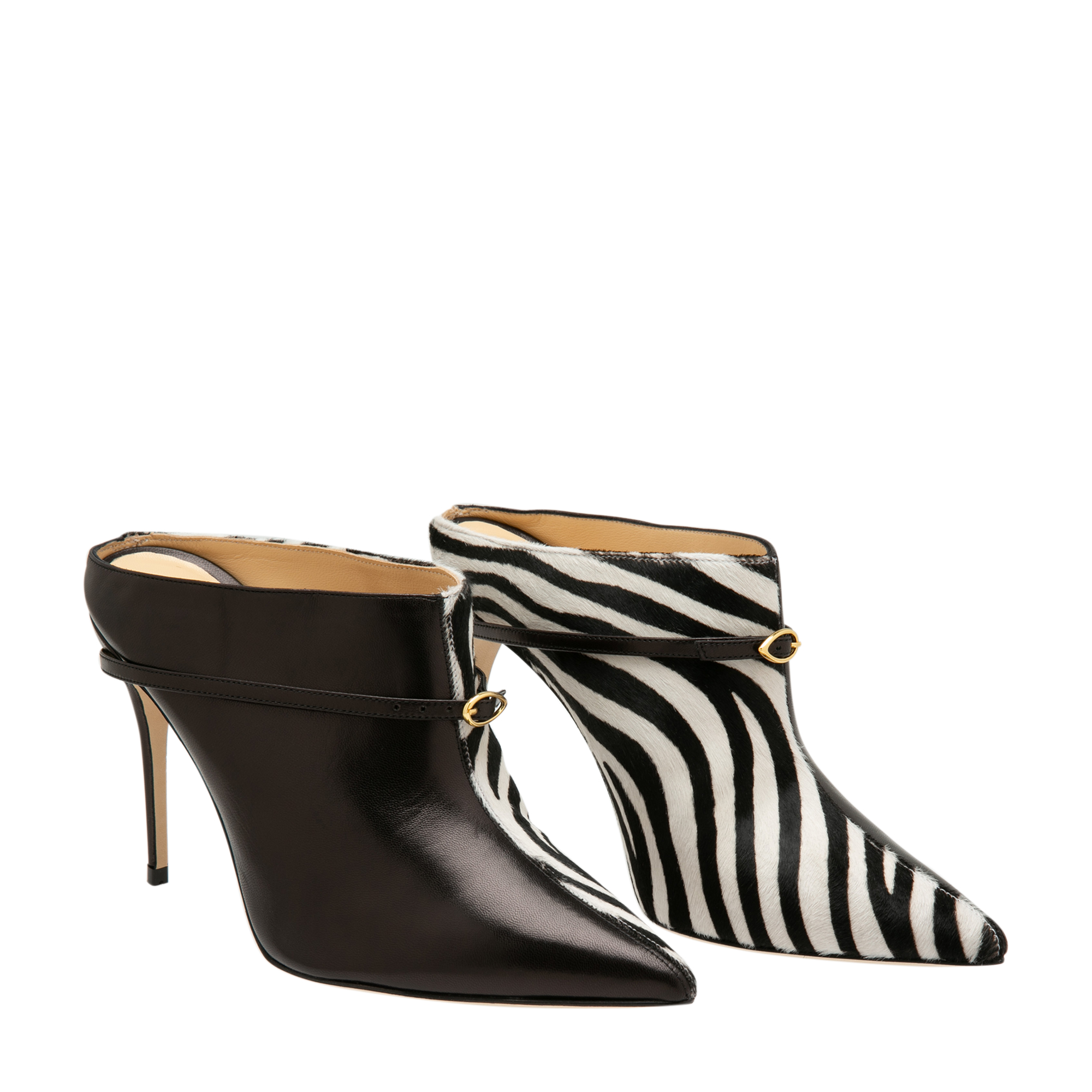 

Alberto mules, Black