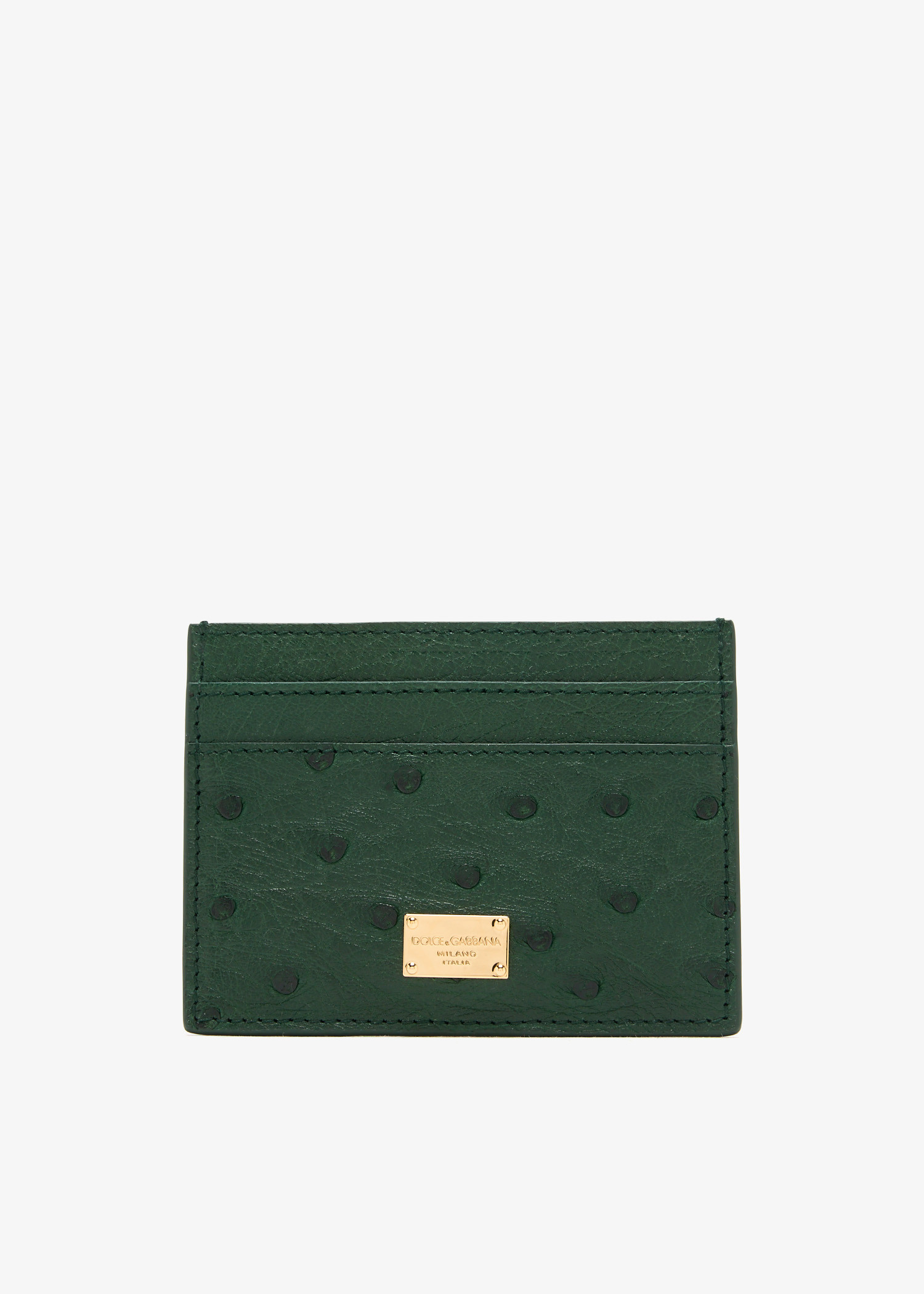 

Ostrich leather card holder, Green