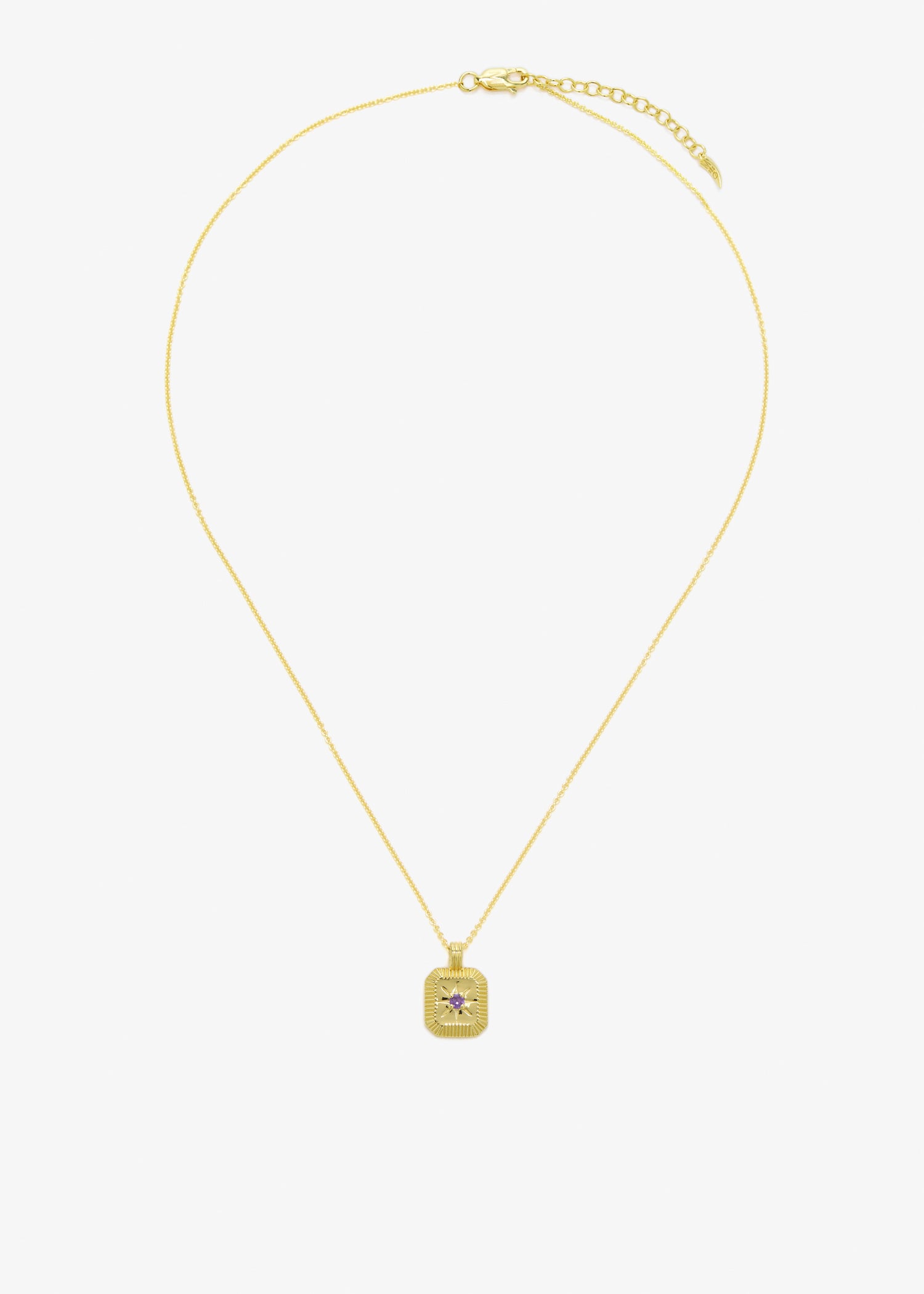 

February Birthstone pendant necklace, Gold