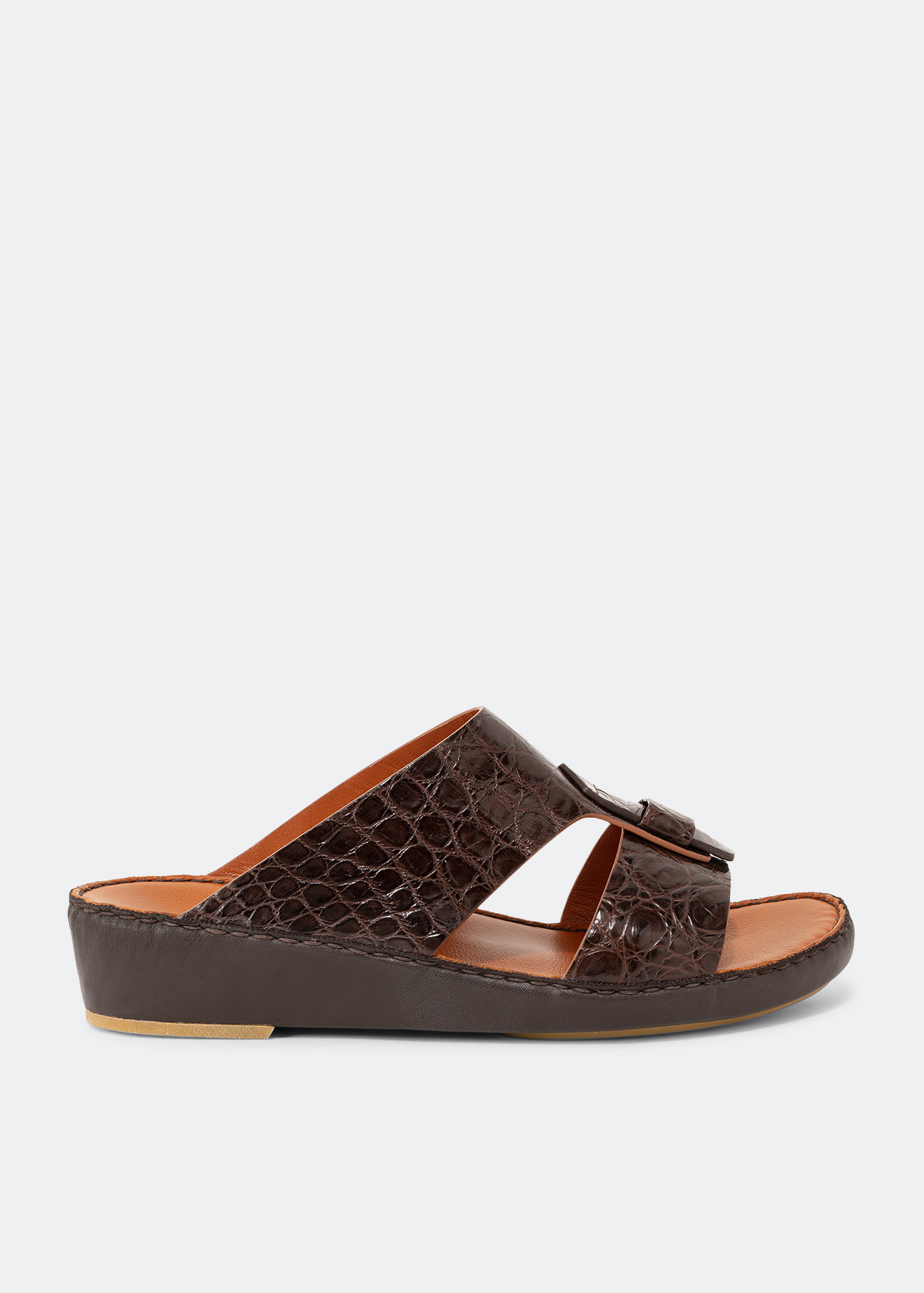 

Fissare Crocodile, Brown