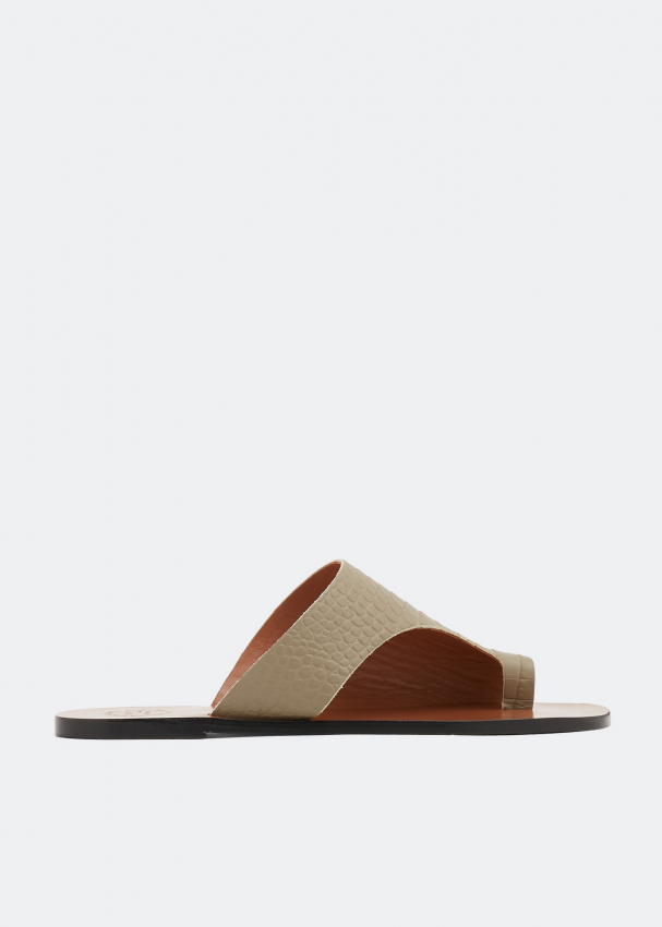 Atp rosa slides online