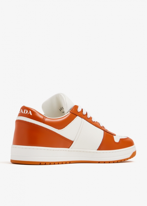Prada Downtown leather sneakers for Men - White in UAE | Level Shoes