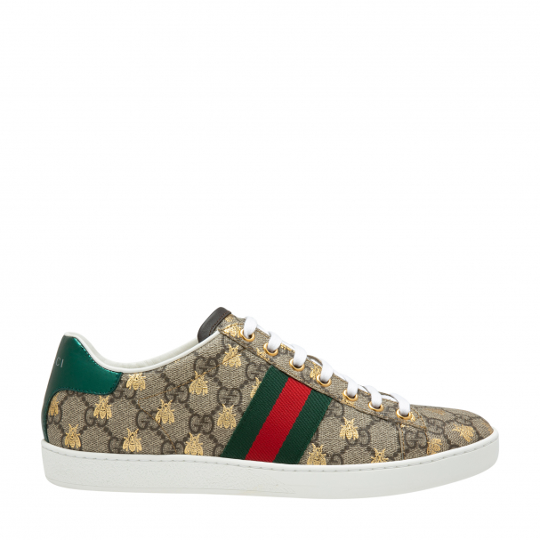 Ace gg supreme sneaker on feet deals