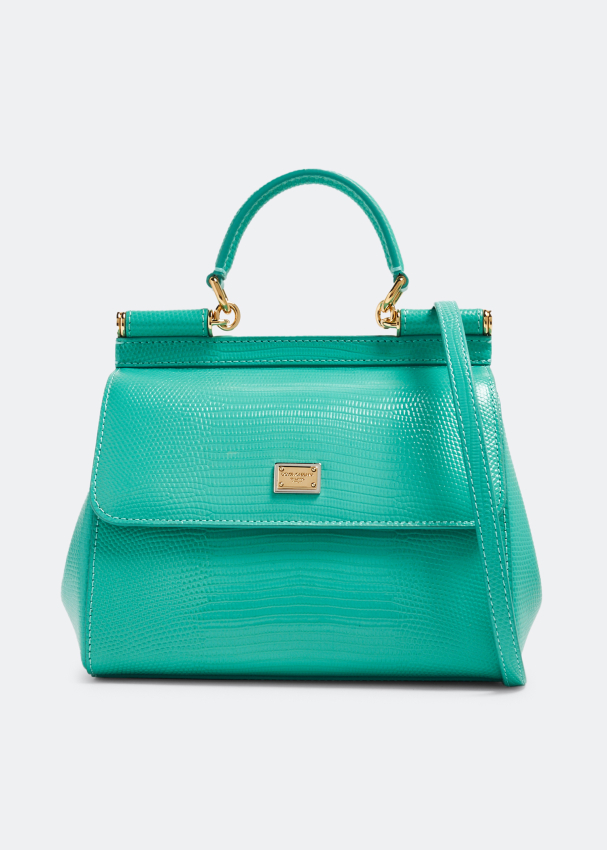 Dolce gabbana online green bag