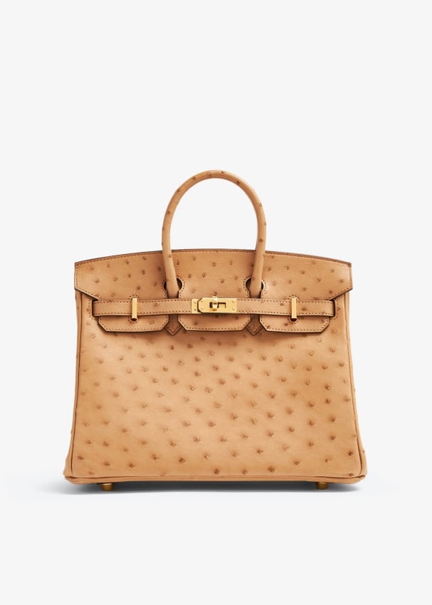 Hermes Birkin 25 Chai Ostrich Gold Hardware