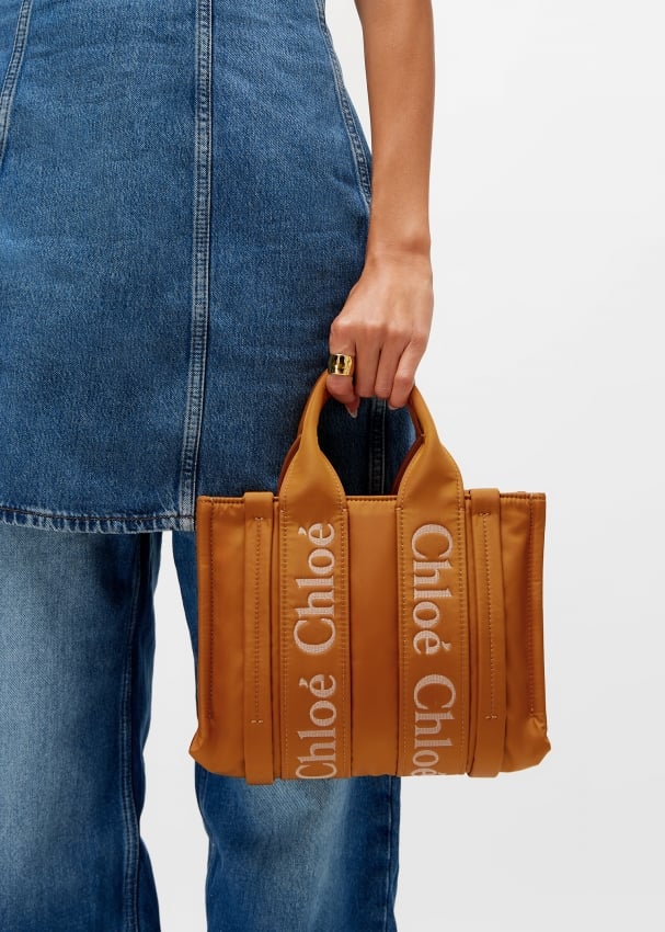 Chloé Woody small tote bag for Women - Brown in UAE | Level Shoes