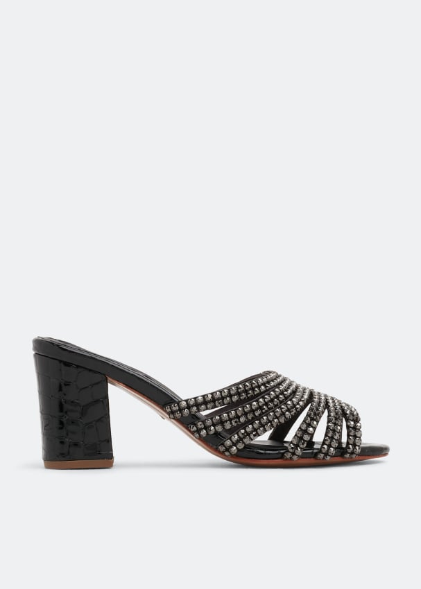 Nicoli Roy sandals for Women - Black in UAE | Level Shoes