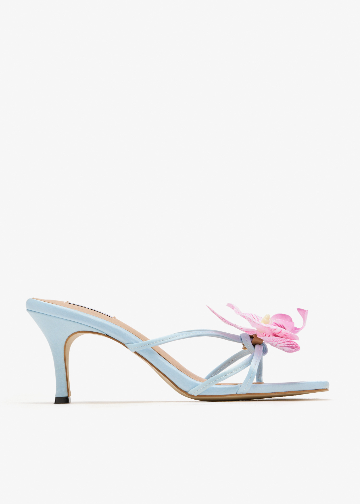 

Garden mules, Blue