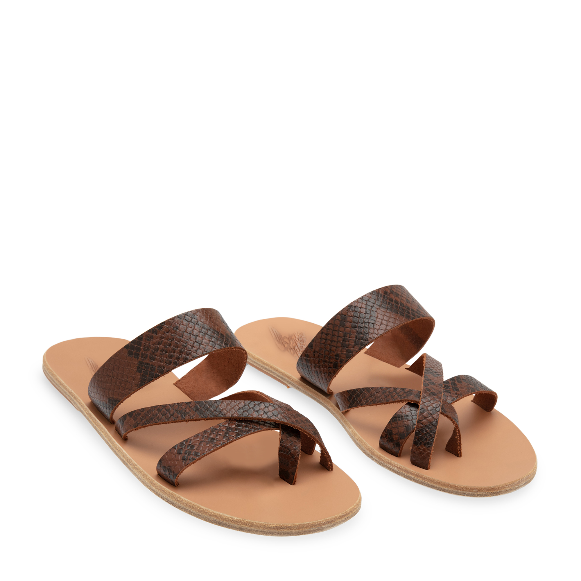 

Jason slides, Brown