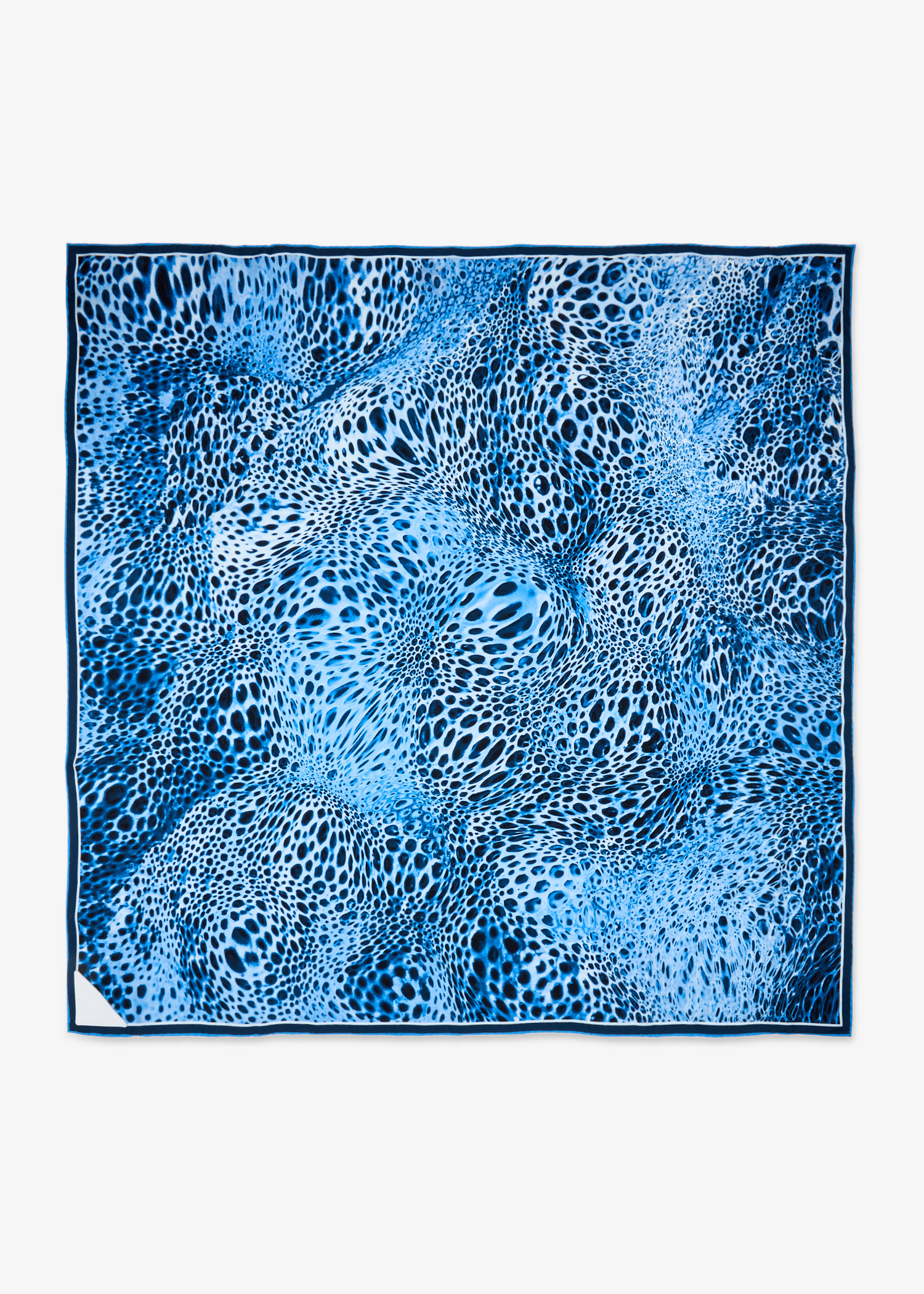 

Jean Moussard scarf, Blue