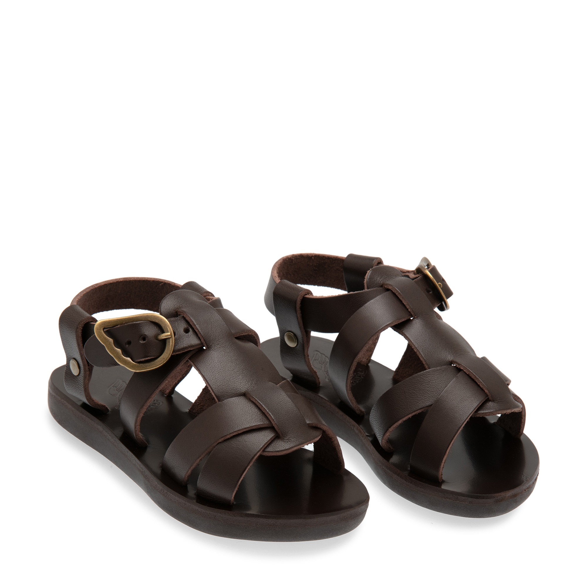 

Little Leonidas andals, Brown