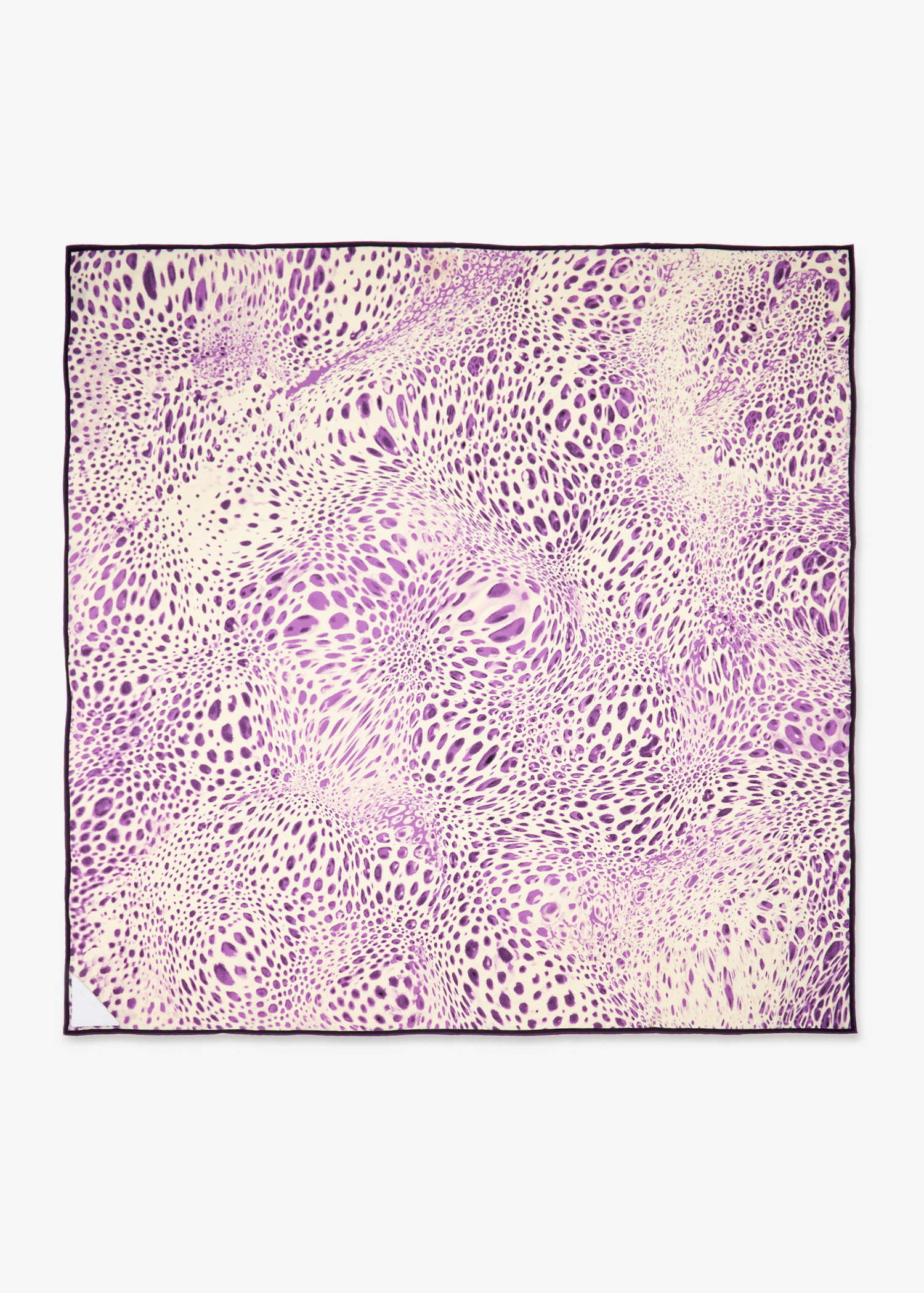 

Parm Moussard scarf, Purple