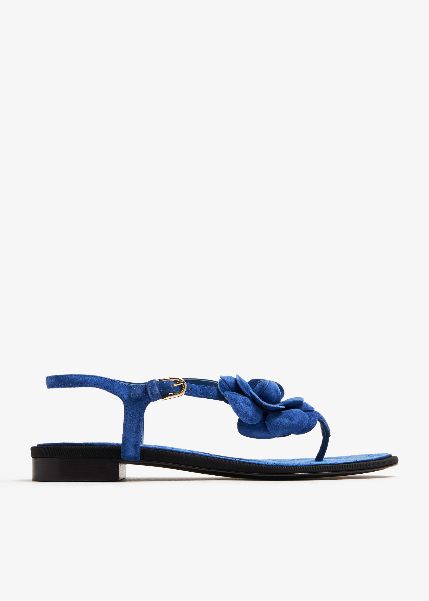 

Camellia thong sandals, Blue
