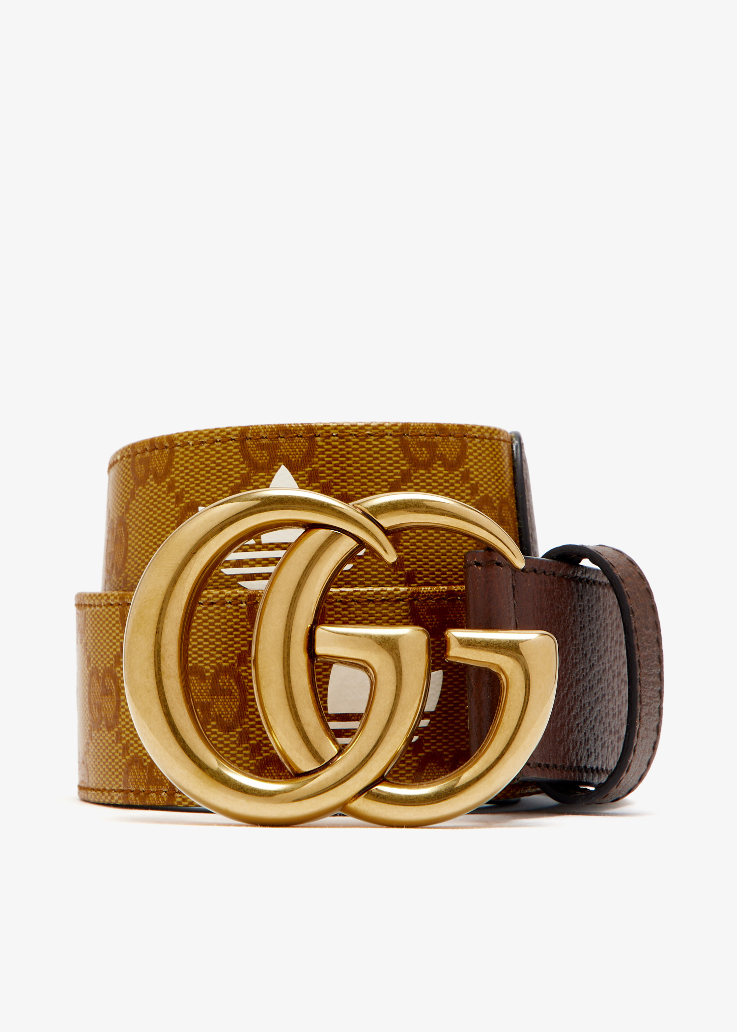 

x Adidas GG Marmont belt, Brown